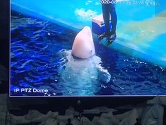 -福州罗源湾海洋世界旅游区