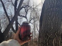 -哈尔滨文化公园