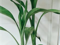 -要德火锅(鼓楼店)
