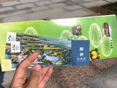 -上海长兴岛郊野公园