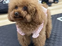 -FIGHTMAN格斗俱乐部(长宁临空店)