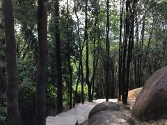 -火炉山森林公园