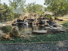 -北京野生动物园