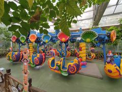 -南宫五洲植物乐园