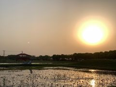 -嘉北郊野公园