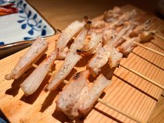 -鳥焱商店(王府大街店)