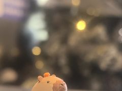 -J Create城市露营咖啡·简餐·宠物(上海动物园店)