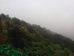 -永泰中国云顶