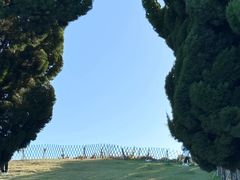 -小麦岛公园