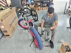 -xds喜德盛自行车(滴水湖店)