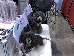-香港会议展览中心演讲厅