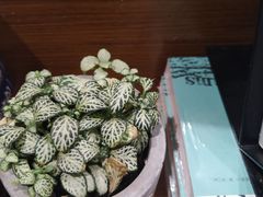 -阅·潮Readzone(珠海华发商都店)