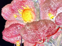 -淄博花灯齐彩城