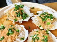 银丝扇贝-日出青木