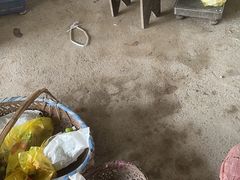 -马陆小张葡萄园农家乐