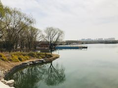 -大兴滨河森林公园