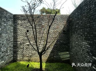 实现自我成长。在这片大面积的临水土地上
