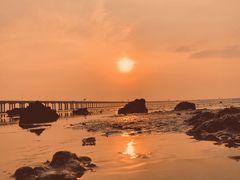 -宝安西湾红树林湿地公园