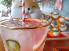 西柚苏打-柴犬高等学院·狗咖·柴犬售卖·宠物训练