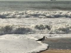 -海云台海滩