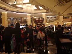-北京首都机场希尔顿酒店