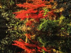 -浙江大学(之江校区)