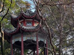 -乌山风景区