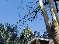 -西安电影制片厂