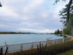 -五缘湾湿地公园