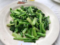 -京北渔家傲