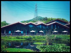 -西湖风景区-江洋畈生态公园