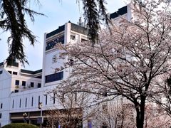 -武汉大学-樱园