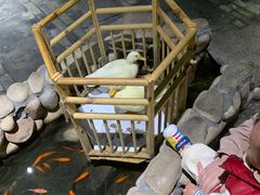 -馬蘭花開(车站大道店)
