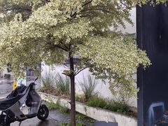 -来回·咖啡(钟村咖啡豆店)