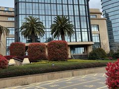 -舟山希尔顿酒店