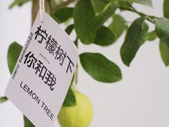 -fishtank鱼缸咖啡(三山街店)