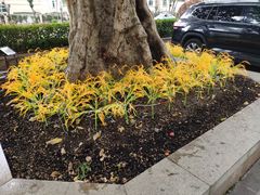 -黄金商业广场(东门东路店)