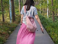 -合肥滨湖国家森林公园