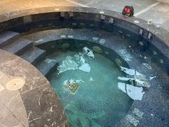 -大连金石滩绿发温泉假日酒店