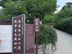 -北京西山国家森林公园