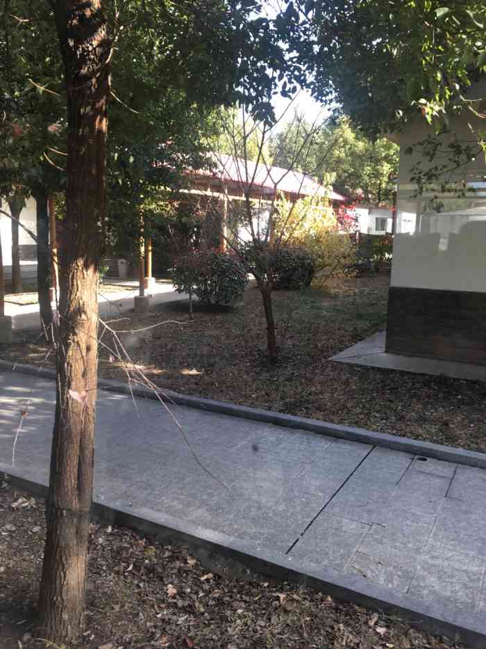 沙漠风情园(八卦洲店)-"78南京tb去处~部门团建过来的,南京八.
