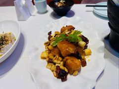 -峨嵋酒家 南北川菜 优选烤鸭(广渠路店)