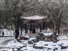 -香山公园