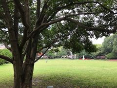 -中国福利会少年宫