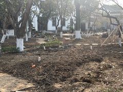 -东山雕花楼