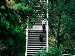 -阳台山森林公园