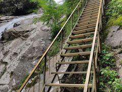 -青峰峡国家森林公园