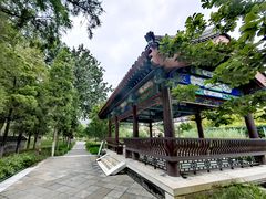 -西海子公园