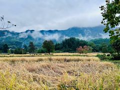 -塔川景区