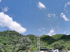 -大岭沟猕猴桃谷风景区